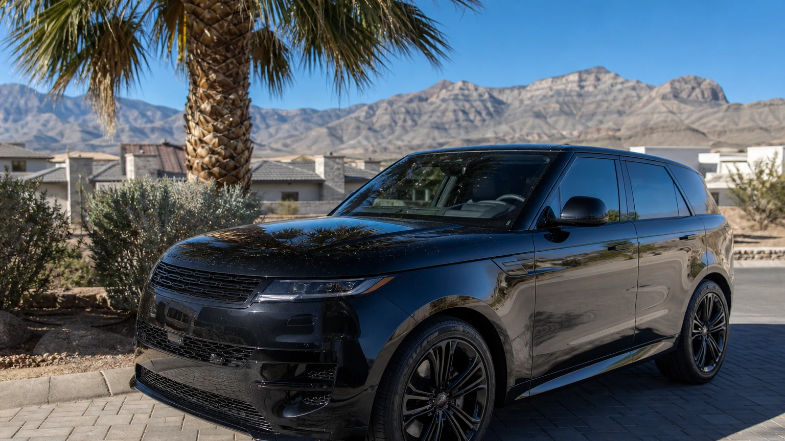 Bird droppings and tree sap etched into car paint on a hood parked under a palm tree in a Las Vegas driveway