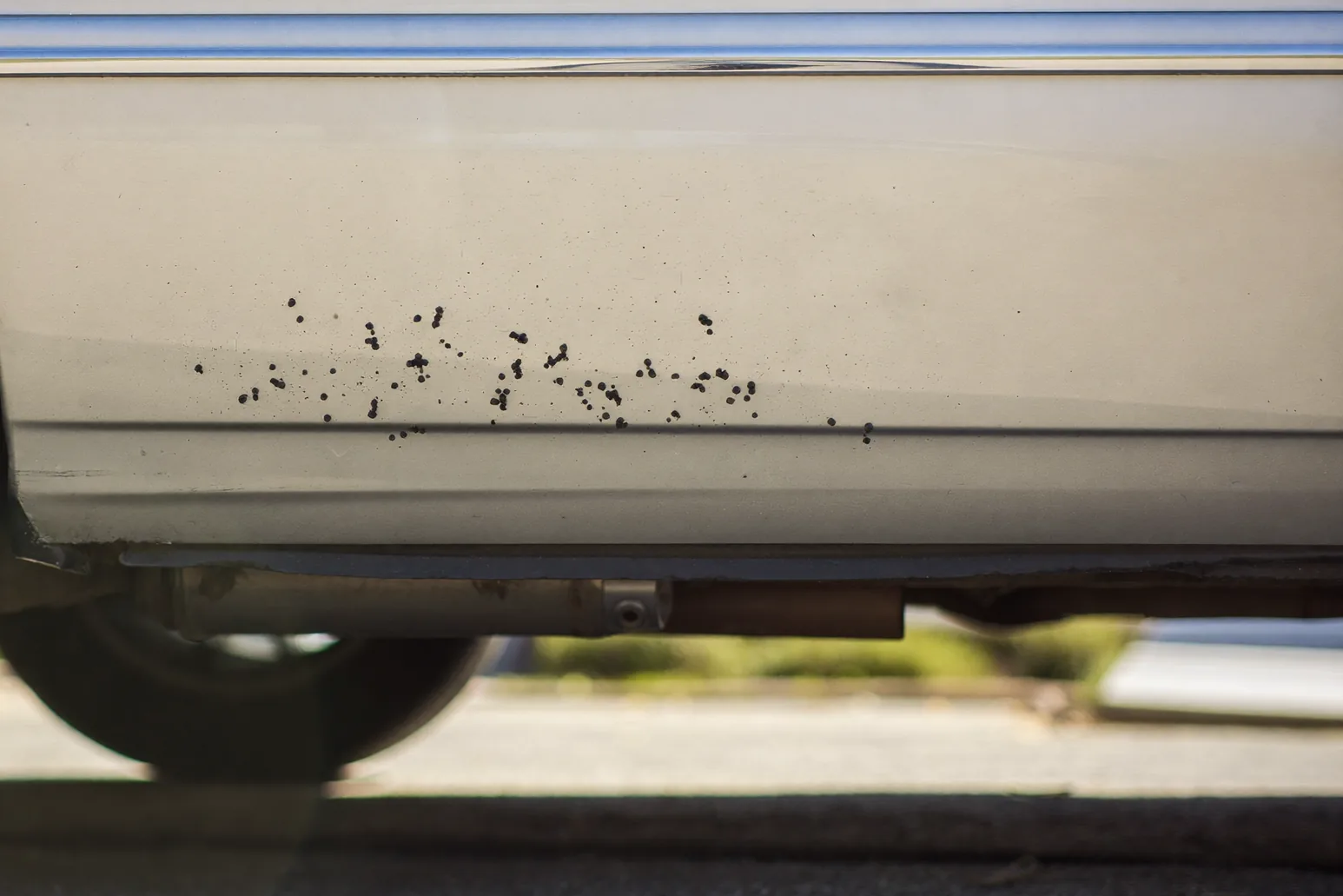 Small dark tar specks on a clean car rocker panel behind the wheel