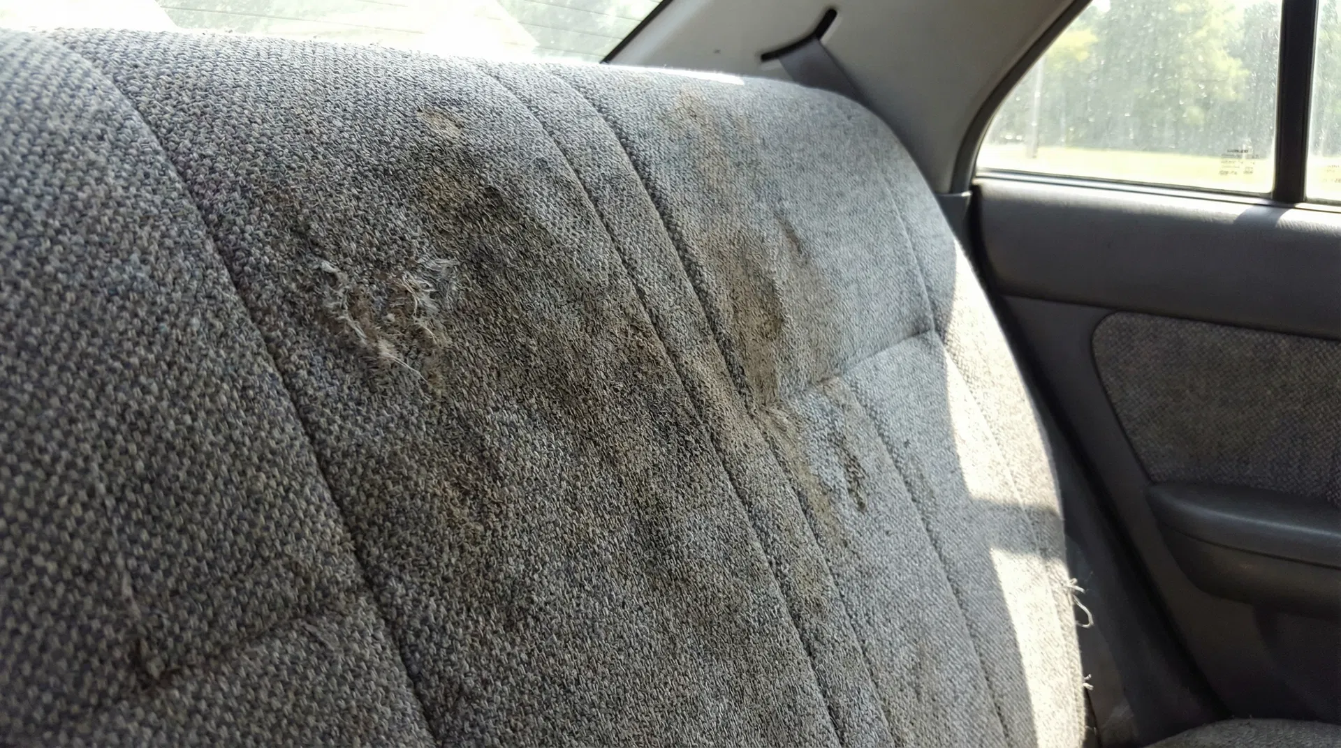 Upholstery Deep Clean - After